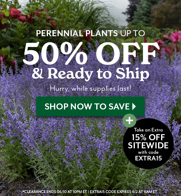 PERENNIAL PLANTS UP TO 40% OFF & Ready to Ship while supplies last!