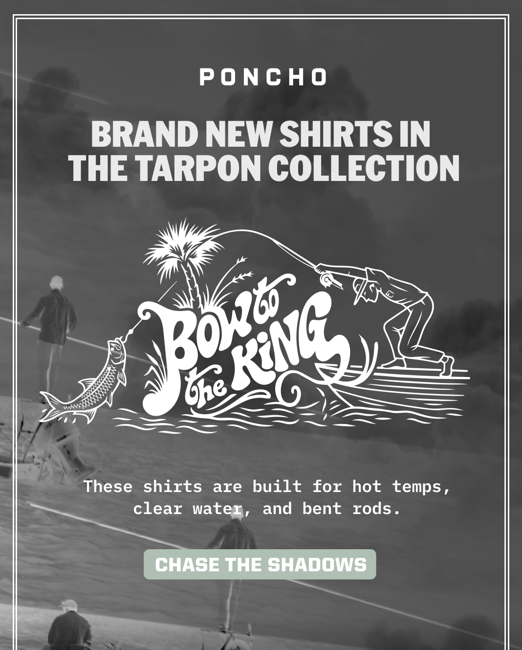 Brand New Shirts in Tarpon Collection