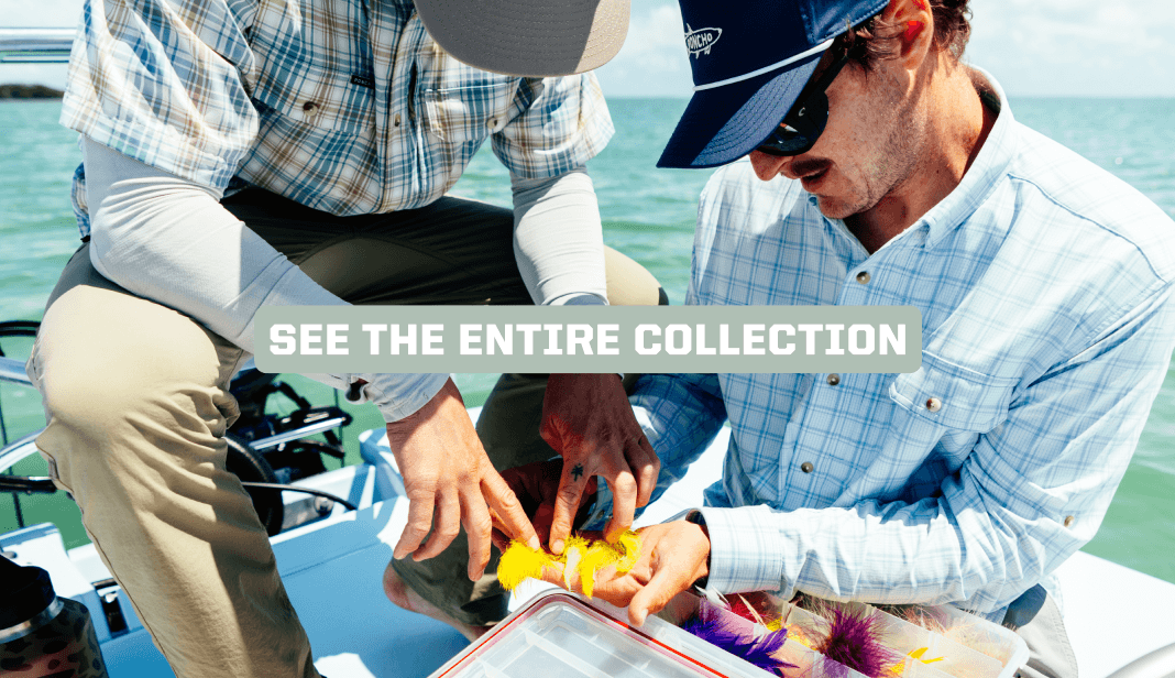 See the Entire Collection