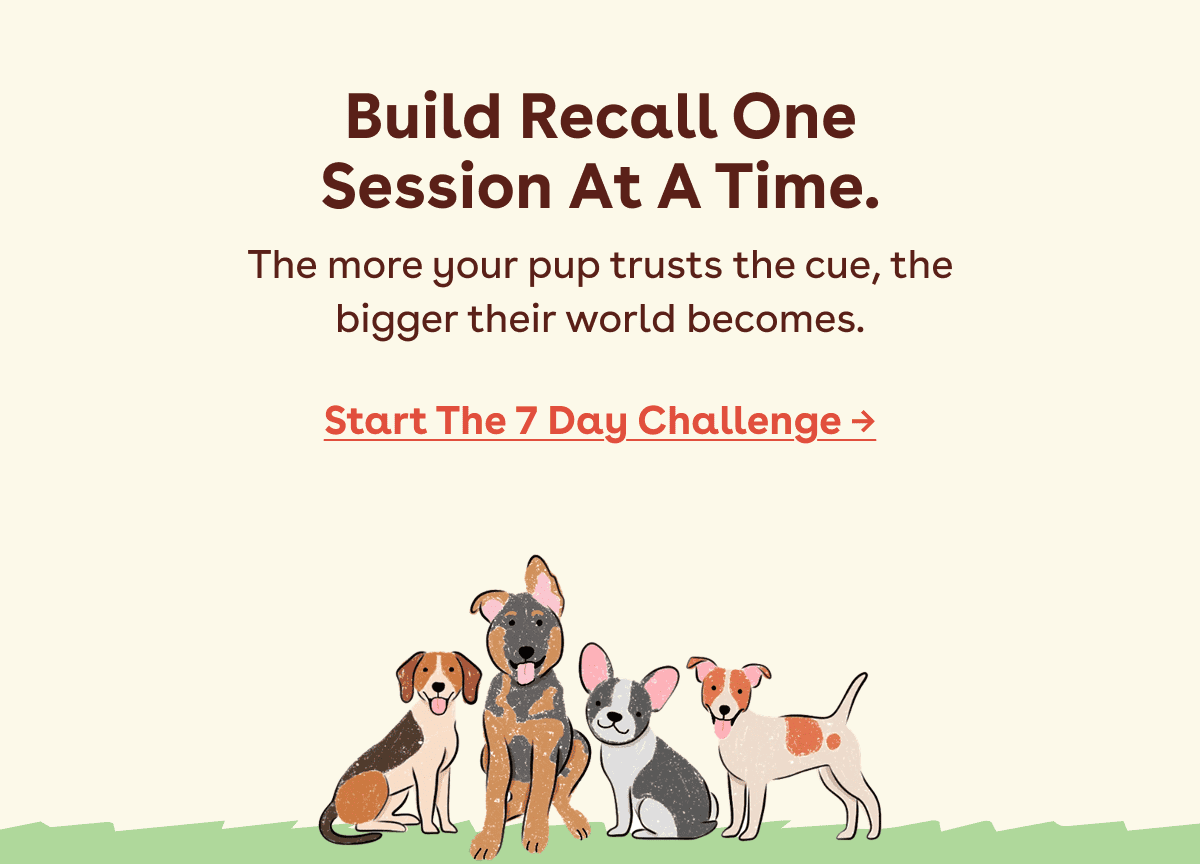 Start the 7 day challenge 