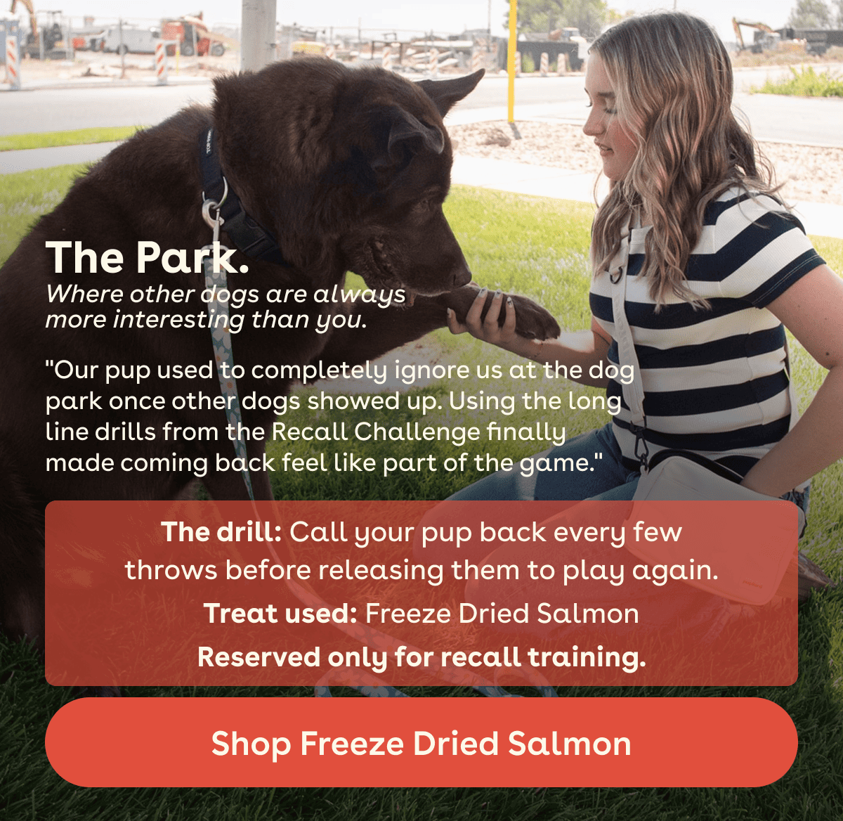 Shop freeze dried salmon 