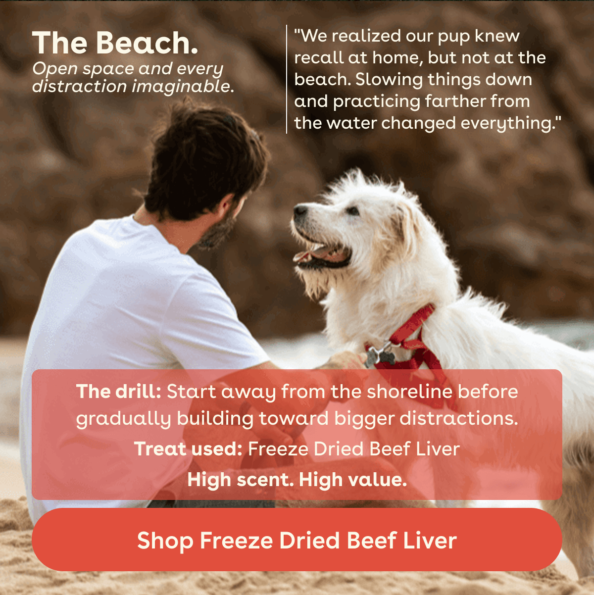 Shop freeze dried beef liver 