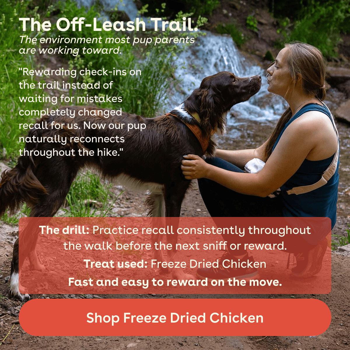Shop freeze dried chicken 