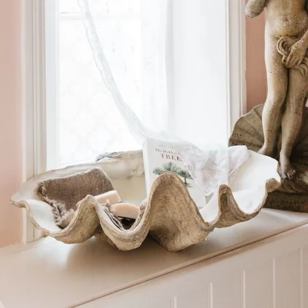 Large Resin Clam Shell