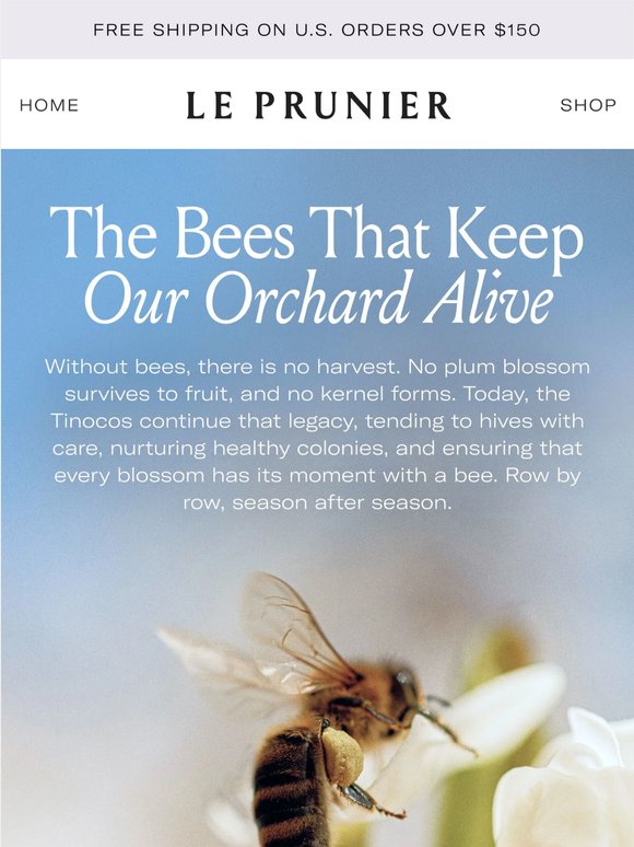 Meet the Family Behind our Bees 🐝