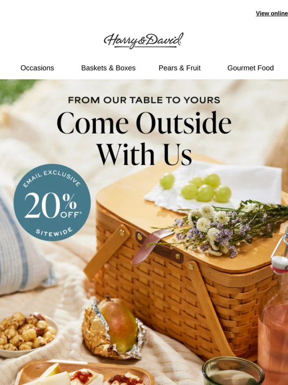 Email exclusive: 20% off your picnic basket!