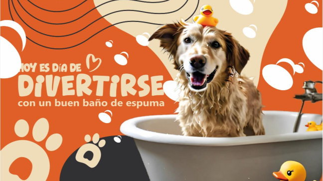 Toby Pets Group