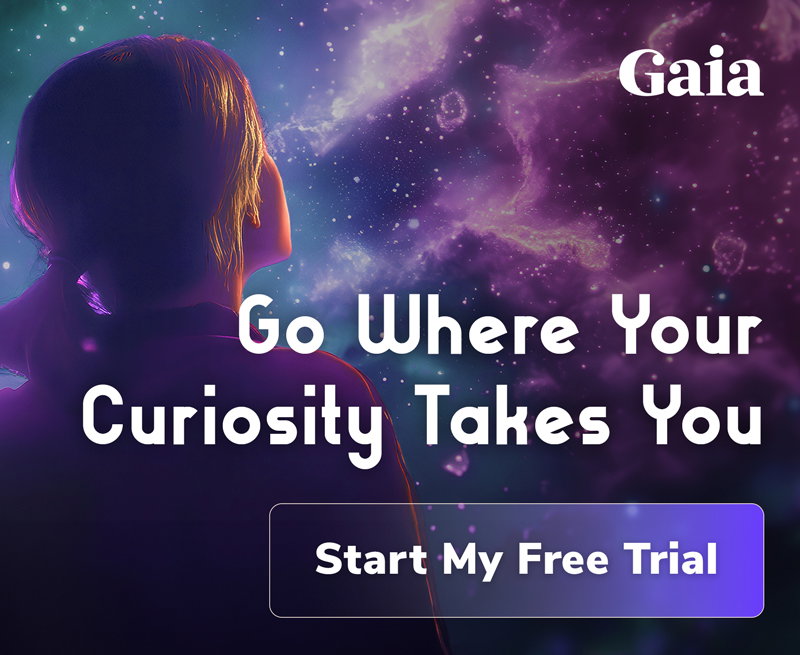 Go Where Your Curiosity Takes You | Start My Free Trial