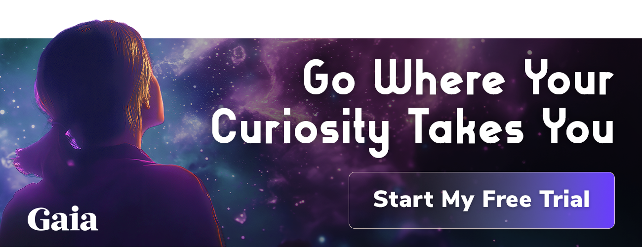 Go Where Your Curiosity Takes You | Start My Free Trial