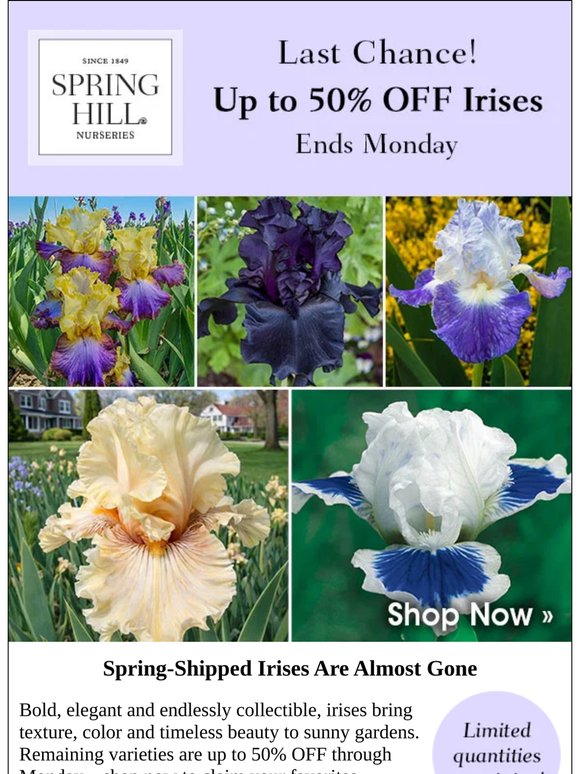 Save up to 50% on Irises—Ends This Weekend!