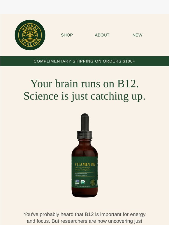 What researchers discovered about B12 and the brain