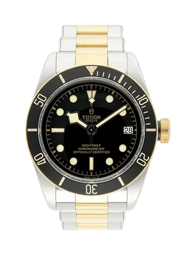 Tudor Black Bay S&G