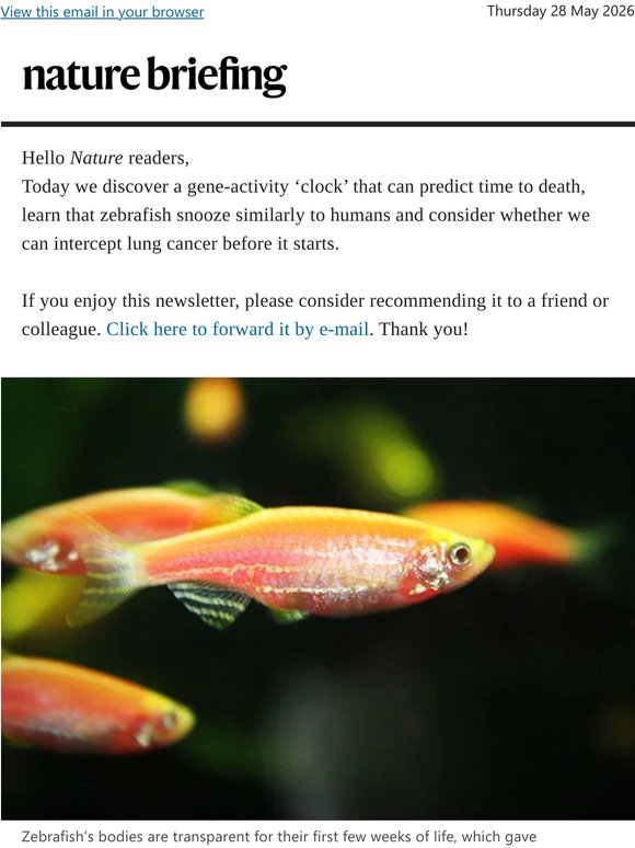 Gene-activity ‘clock’ predicts biological ageing — and time to death