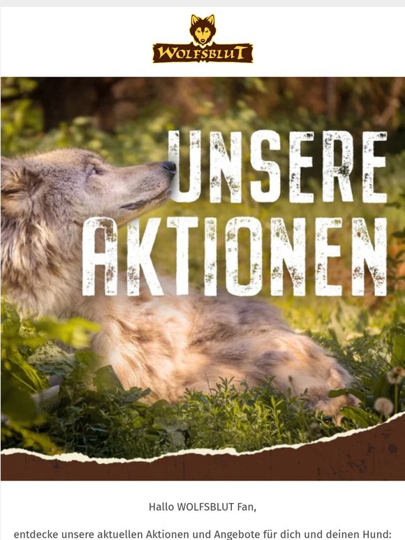 Unsere Aktionen warten auf dich!