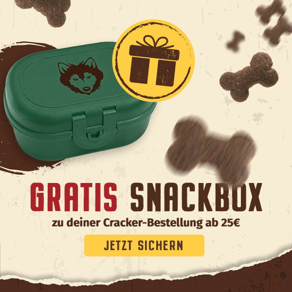 hunde leckerlies und eine Snackbox