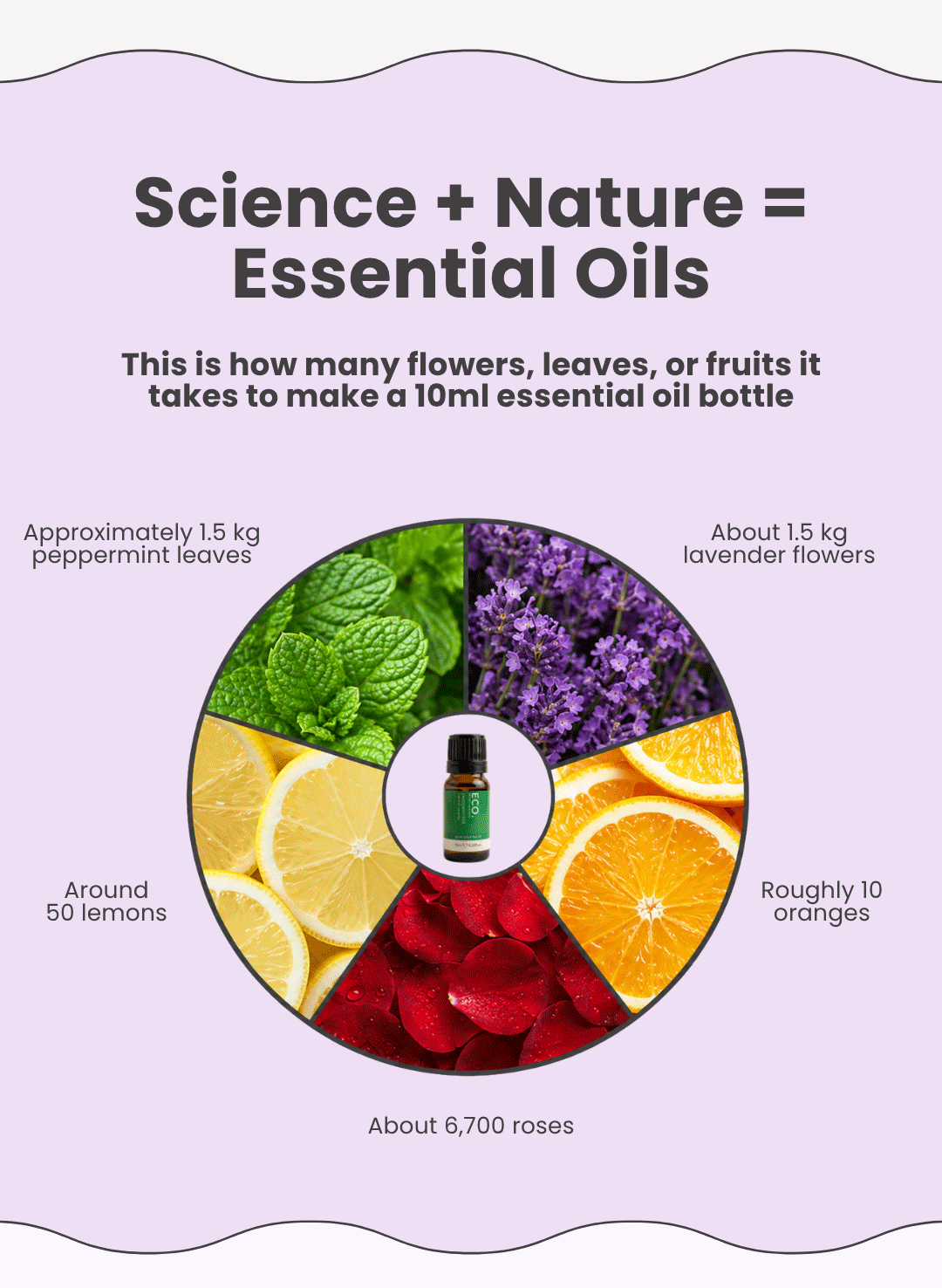 Essential Oils
