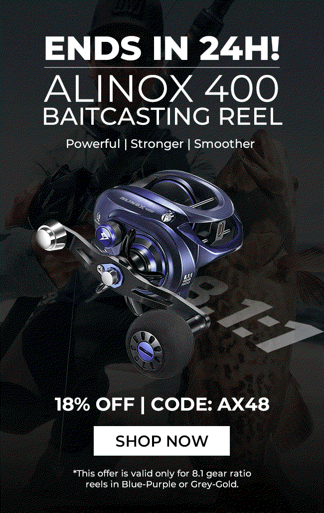 AlinoX 400 Saltwater Freshwater Baitcasting Reel With Bait Clicker