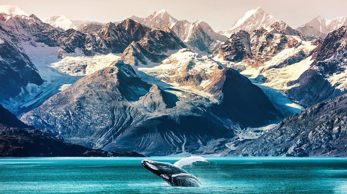 Deluxe 19-Day Canada & Alaska Rail & Sail with Rocky Mountaineer & Inside Passage Cruise