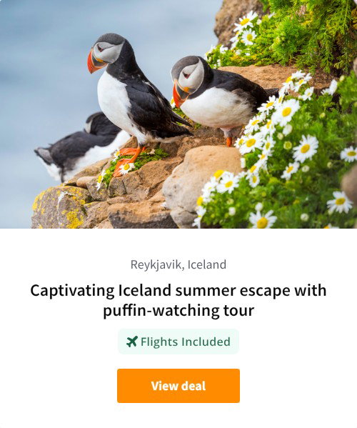 Captivating Iceland summer escape with puffin-watching tour
