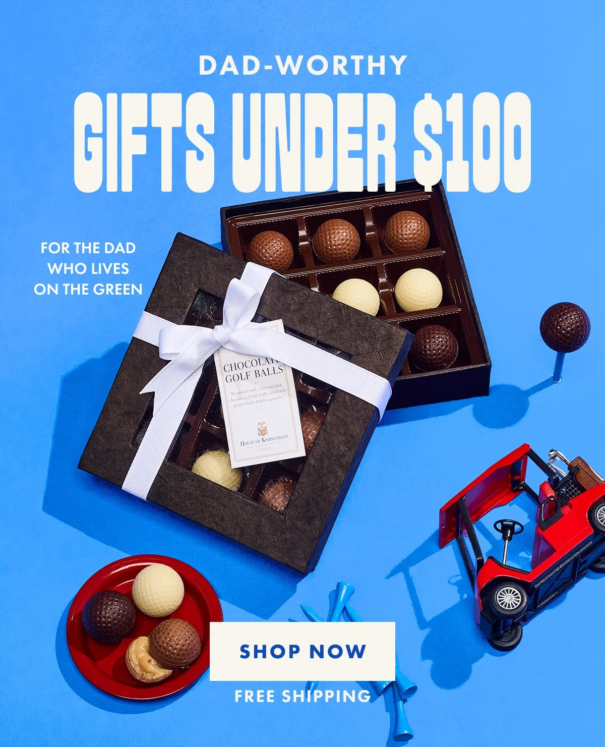 Gifts under $100