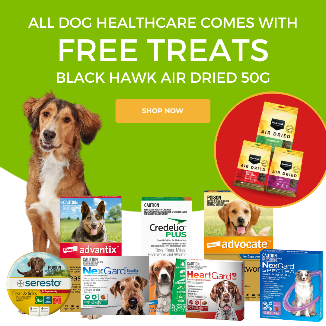 Free treats with all dog healthcare