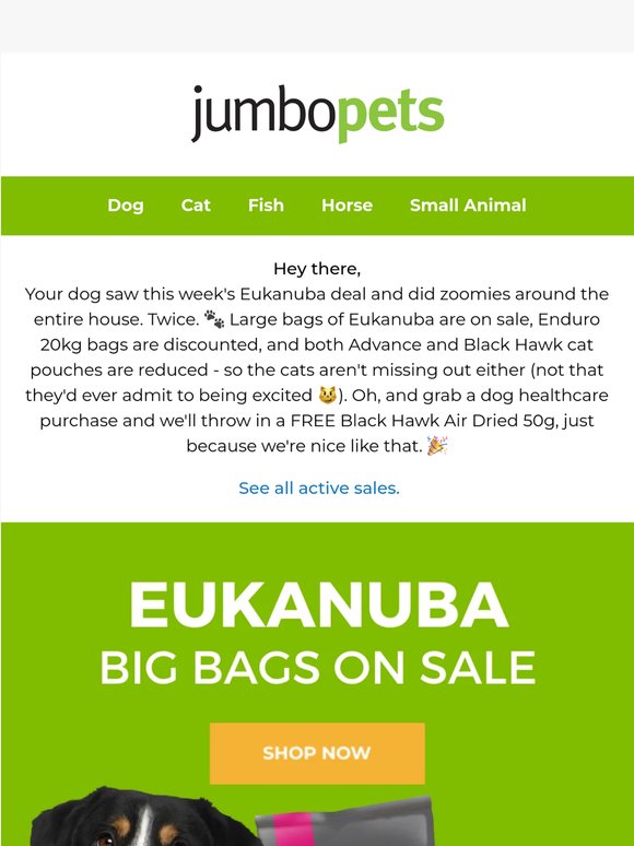 Your pet literally cannot handle this week's deals 🐾