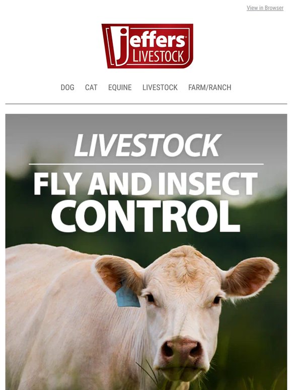 Smart Solutions for Fly Control