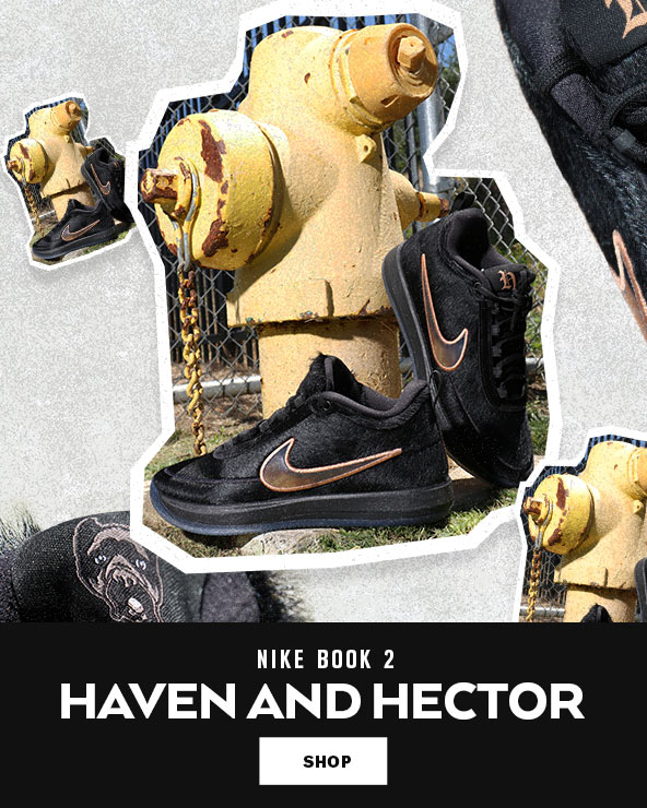 BOOK 2 "HAVEN AND HECTOR