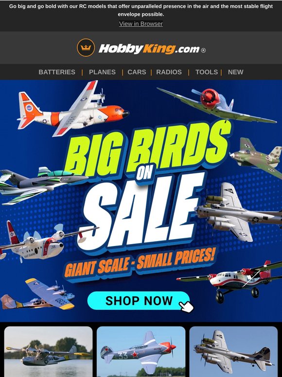 Huge Savings on Big Scale RC plane- Up to 30% off