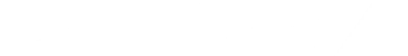 custom_logo