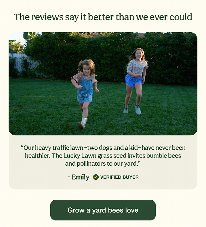 The reviews say it better than we ever could | Grow a yard bees love