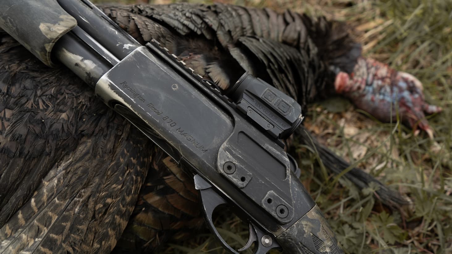 shotgun over turkey