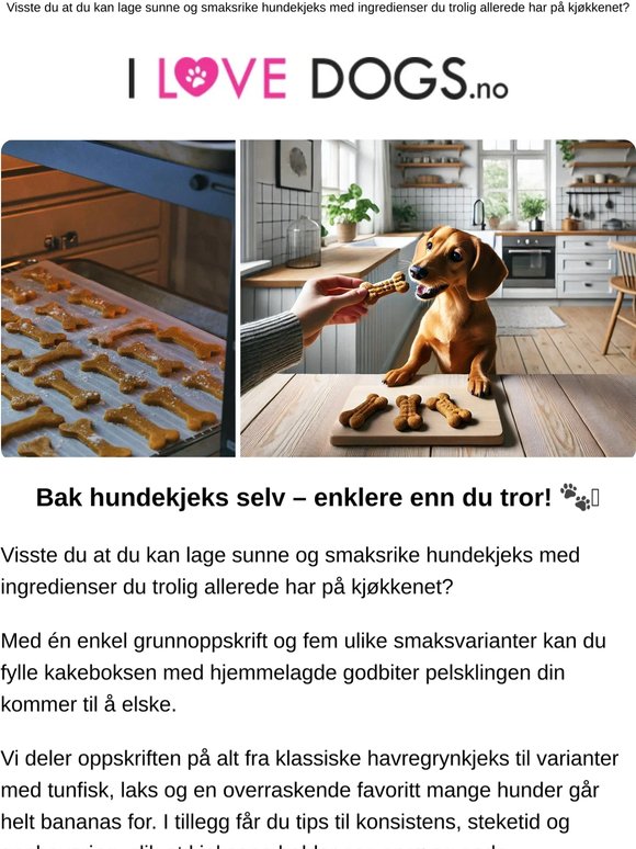 Bak hundekjeks selv – enklere enn du tror! 🐾🩷