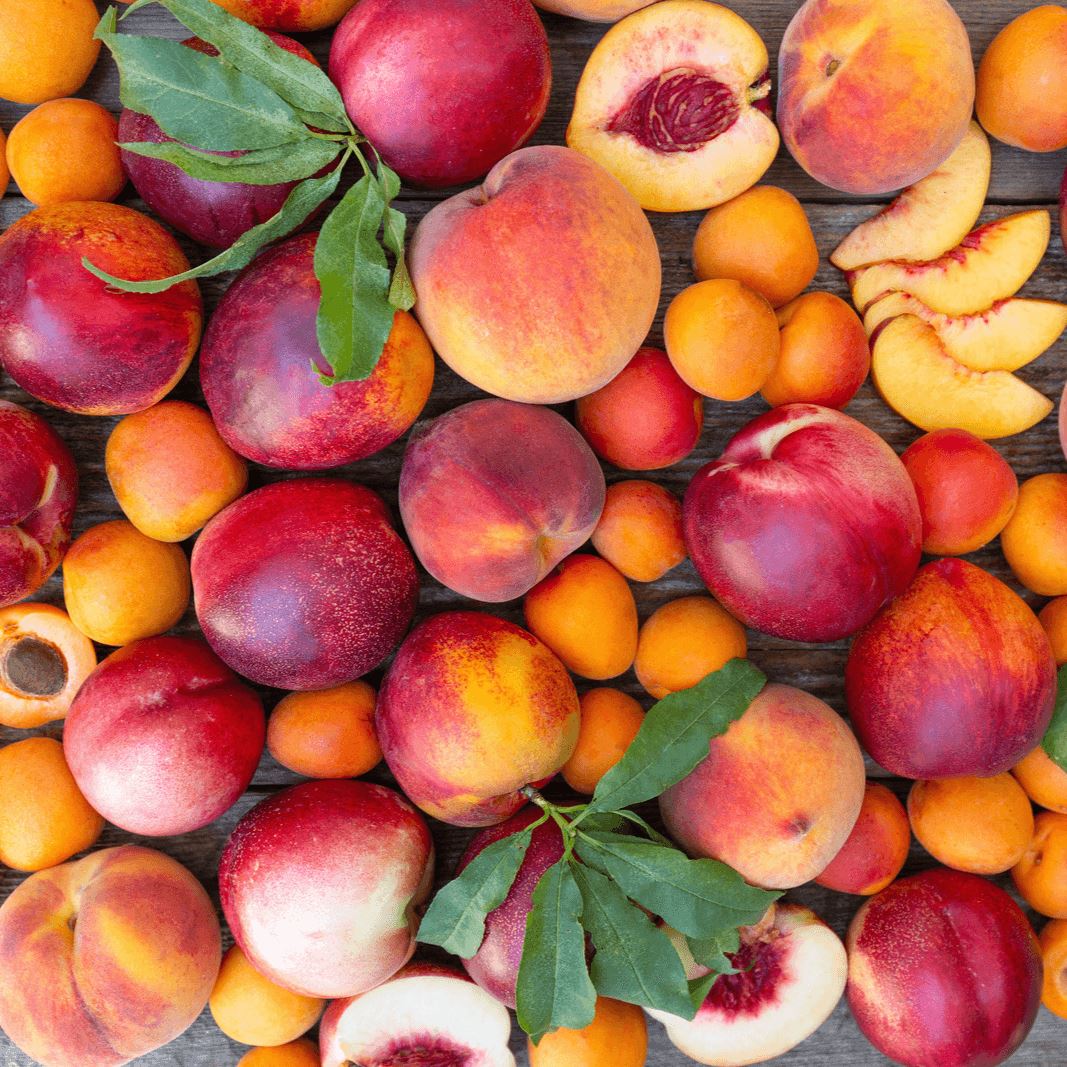 Image of Frog Hollow Favorites | Organic Fruit Club