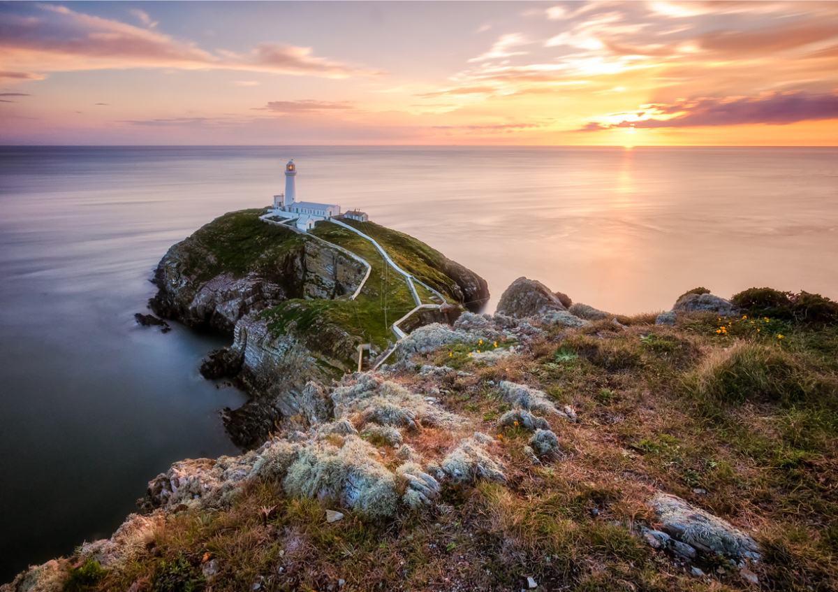 New Scientist Discovery Tours. Image links to tours