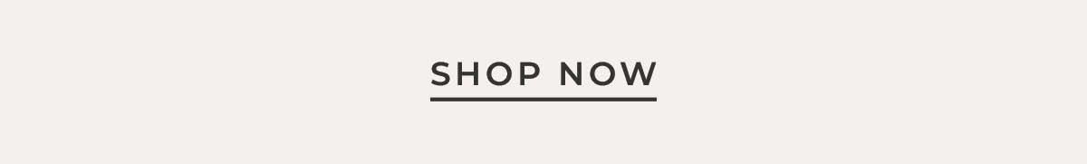 Text box and link to "Shop Now"