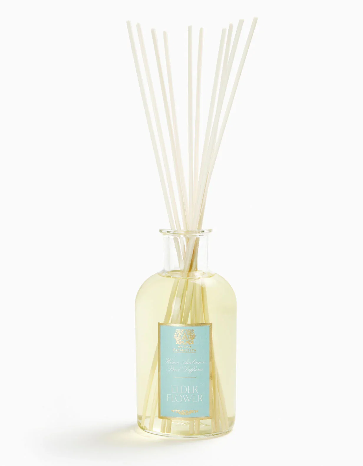 Image of ELDERFLOWER