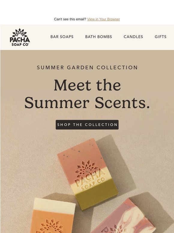 Meet the Summer Scents ✨