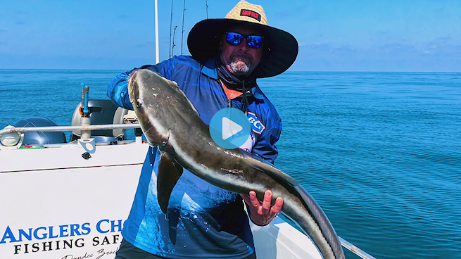 Click to watch Paul's vacation video from Australia
