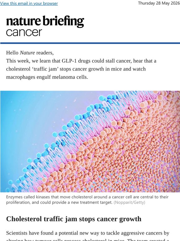 Cholesterol ‘traffic jam’ stops cancer growth in mice