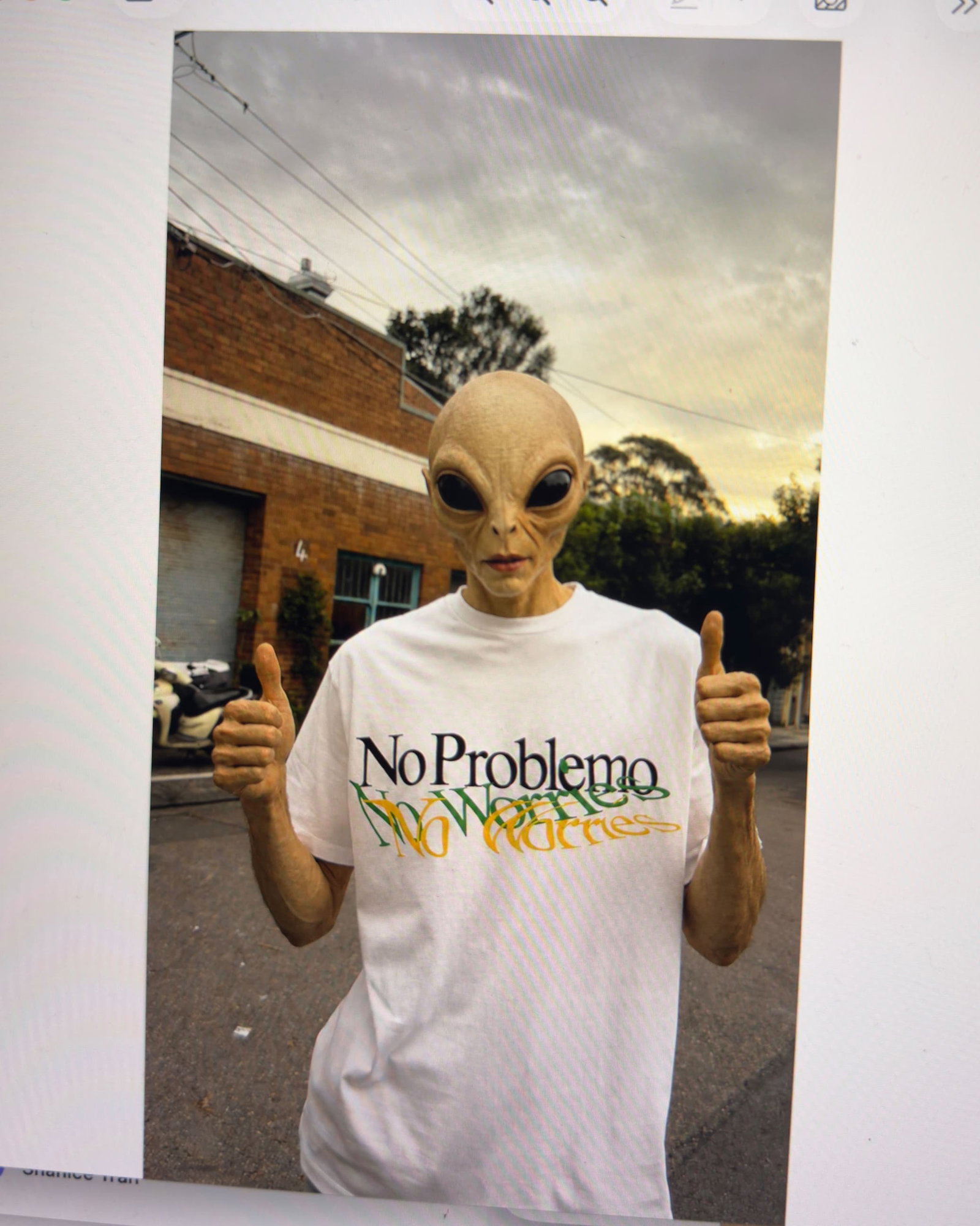 NO PROBLEMO