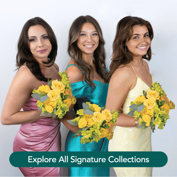 Explore All Signature Collections