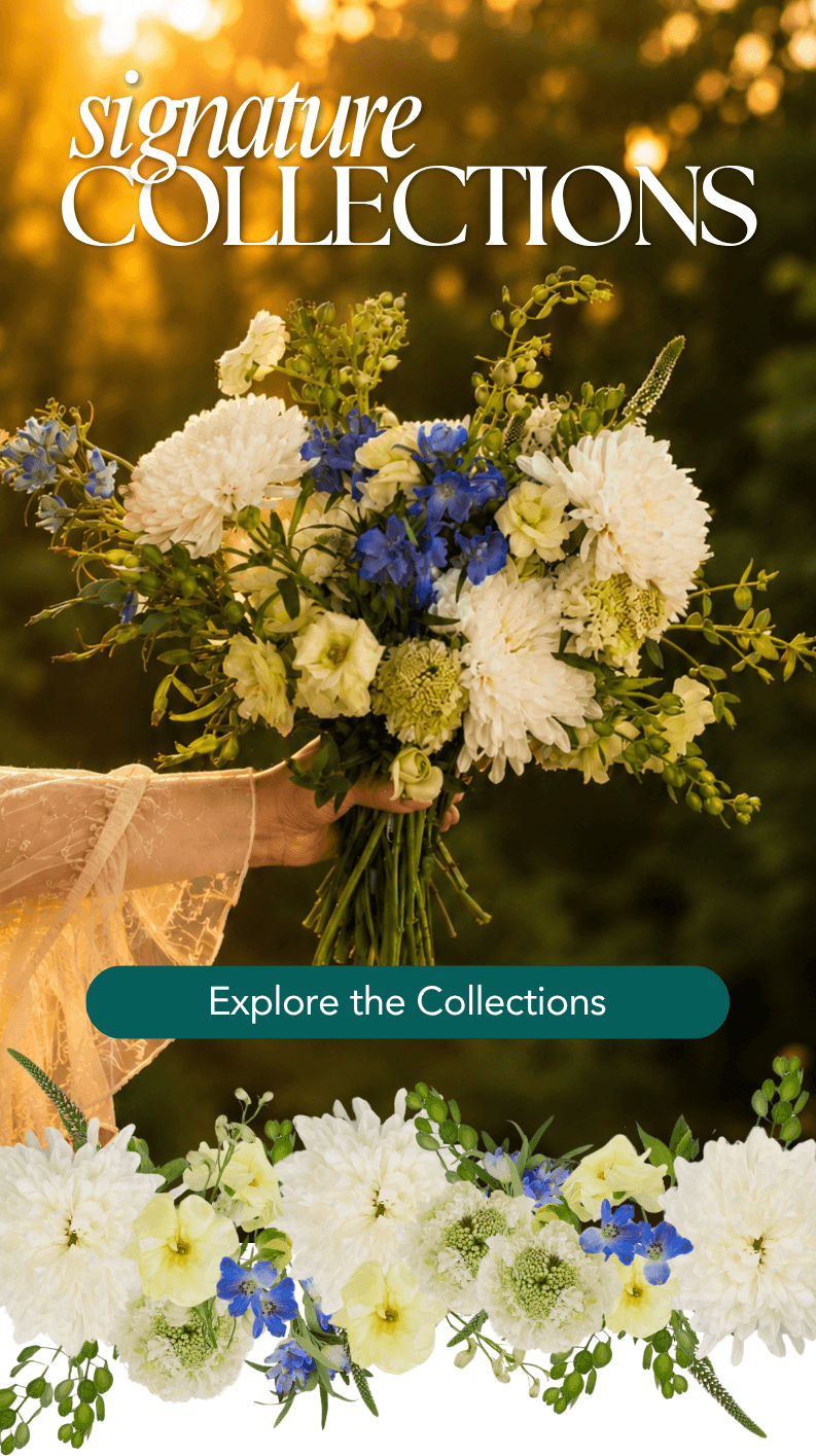 Signature Collections
