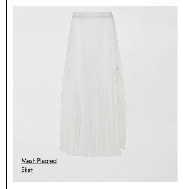 Mesh Pleated Skirt