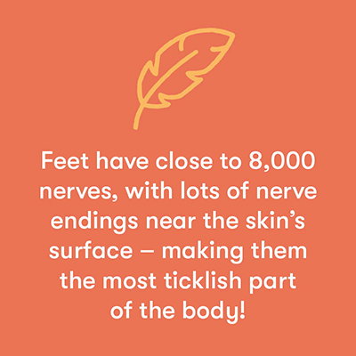 Feet have close to 8000 nerves!