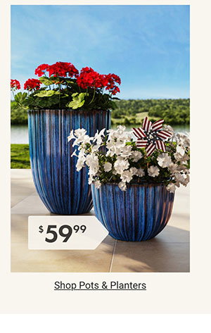 Shop Pots & Planters >