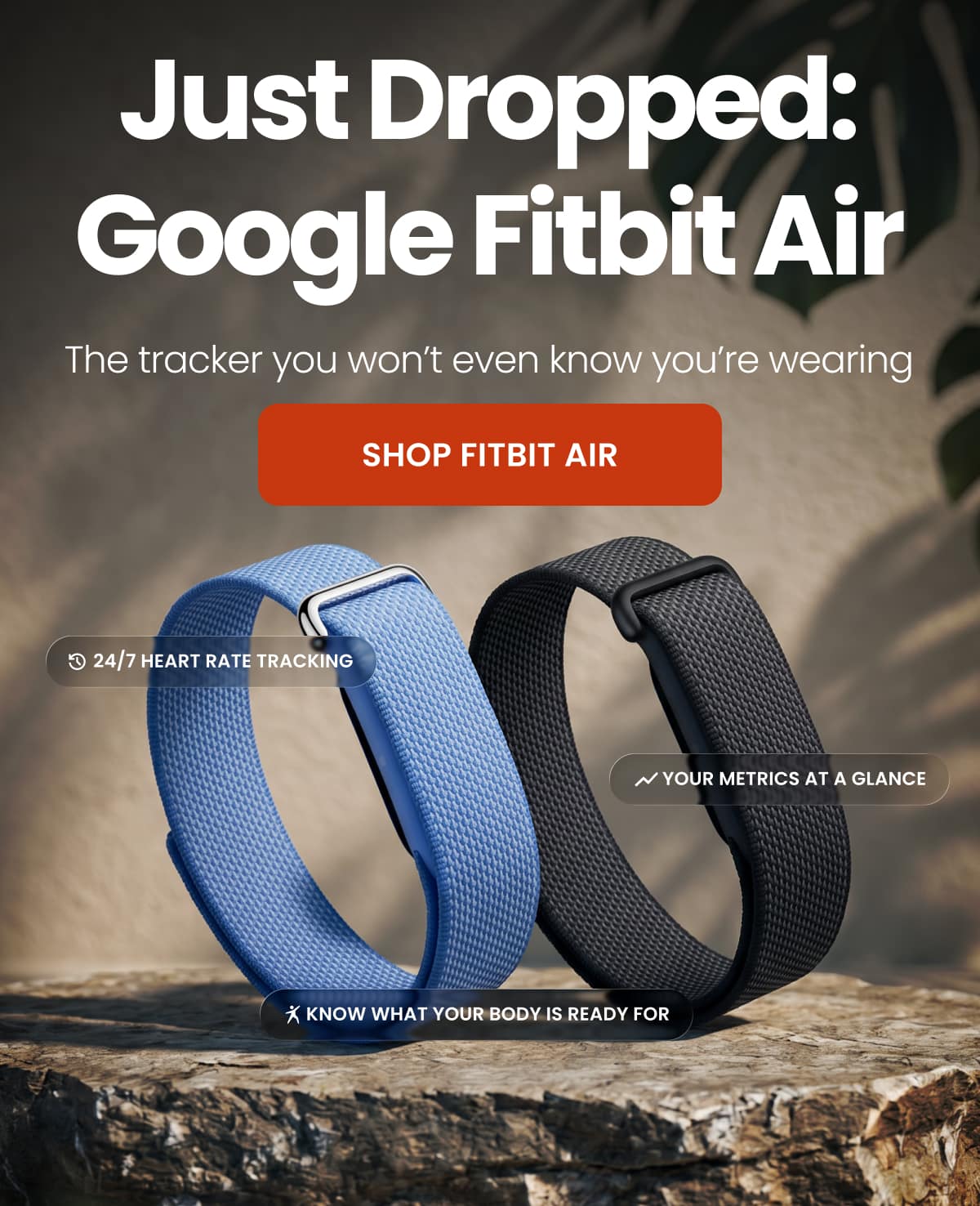 Just Dropped: Google Fitbit Air