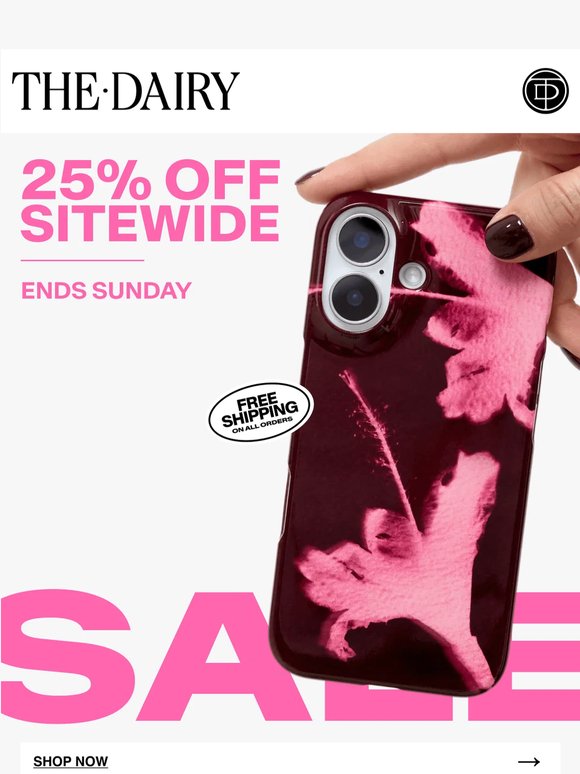 Flash Sale: 25% OFF