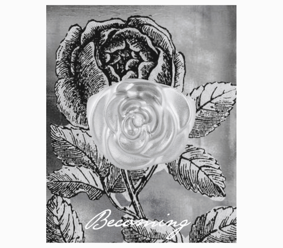 The Silver Capsule: Now available in showrooms & online
