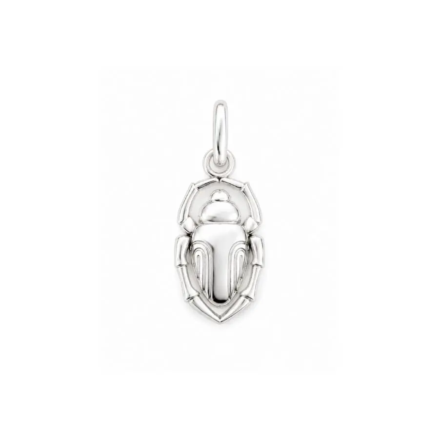 Image of Scarab Protection Charm
